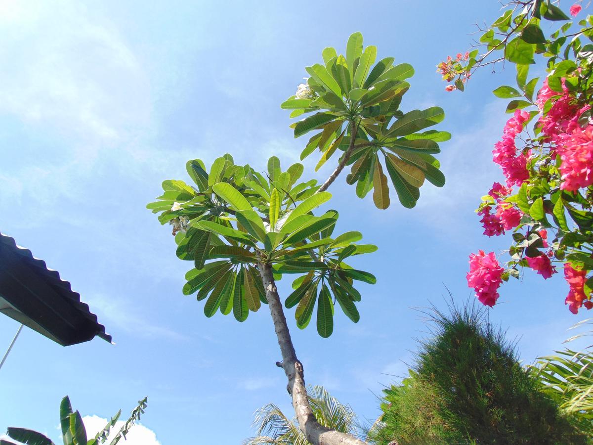 Sister Bungalow Hotel Gili Air Luaran gambar